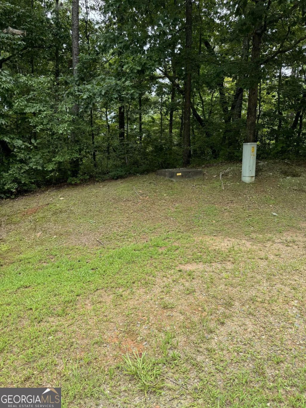 Photo of 5 Harris Creek Drive, Ellijay, GA 30540 (MLS # 10682486)