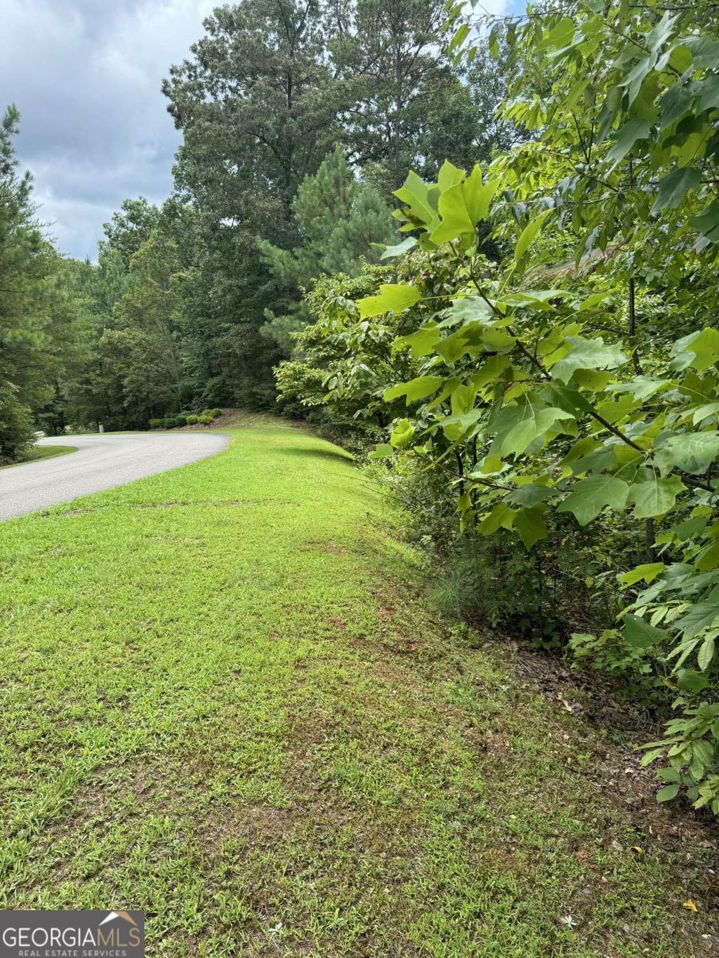Photo of 5 Harris Creek Drive, Ellijay, GA 30540 (MLS # 10682486)