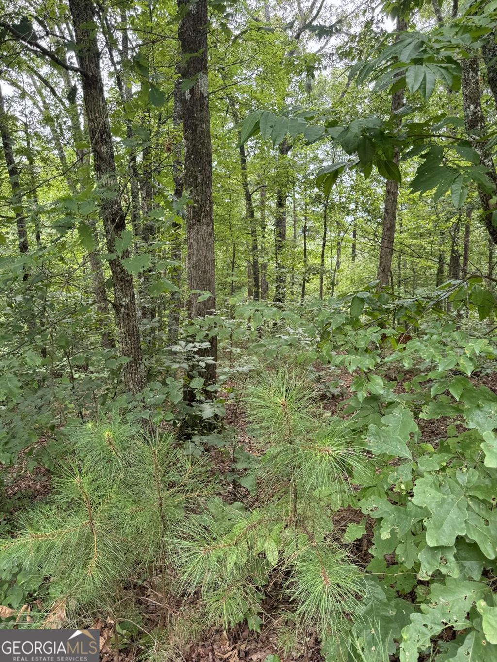 Photo of 5 Harris Creek Drive, Ellijay, GA 30540 (MLS # 10682486)