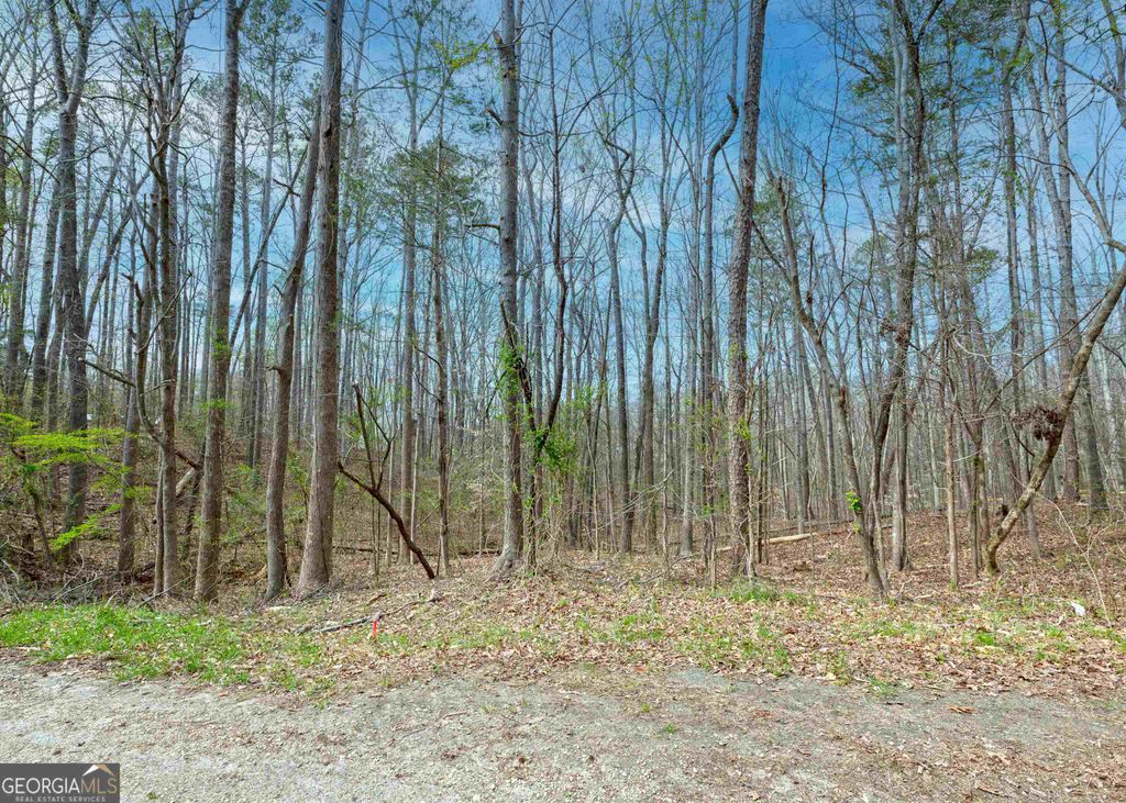 Photo of 0 Lake View Drive, Lavonia, GA 30553 (MLS # 10738846)