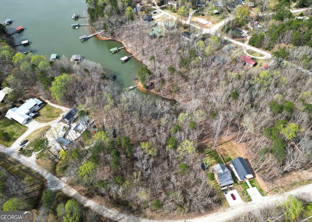 Photo of 0 Lake View Drive, Lavonia, GA 30553 (MLS # 10738846)