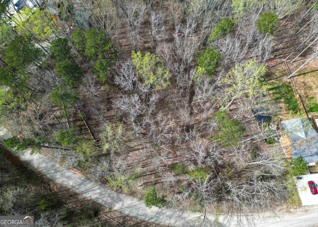Photo of 0 Lake View Drive, Lavonia, GA 30553 (MLS # 10738846)