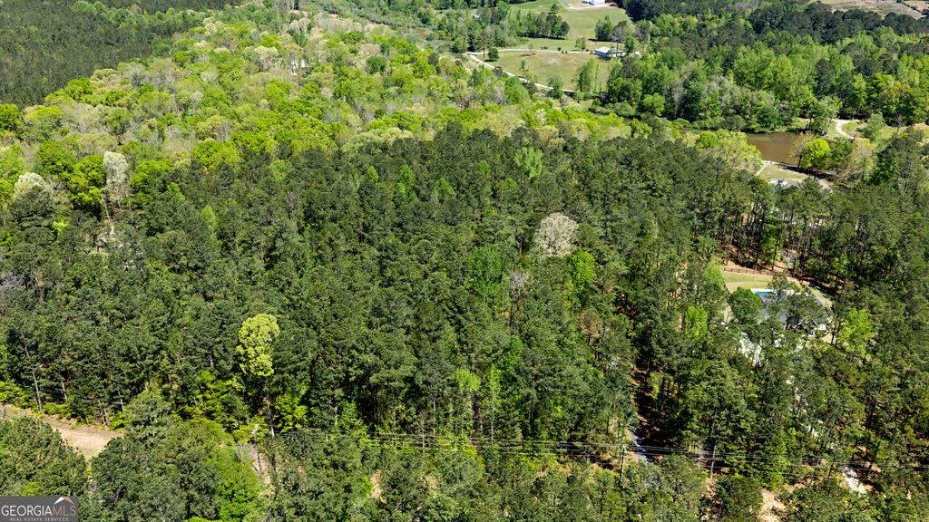 Photo of 0 Deep South Rd. #2, Senoia, GA 30276 (MLS # 10730938)