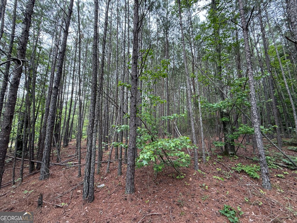 Photo of 0 Natures Walk Drive, Rome, GA 30165 (MLS # 10761294)