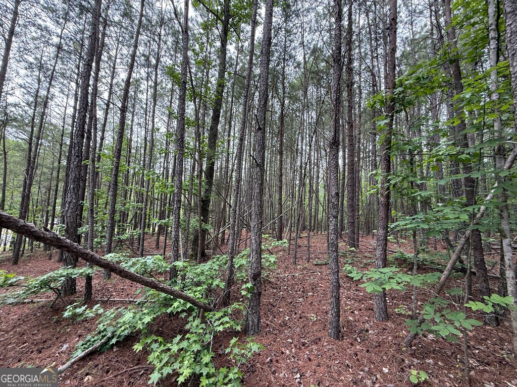 Photo of 0 Natures Walk Drive, Rome, GA 30165 (MLS # 10761294)
