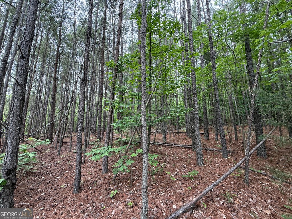 Photo of 0 Natures Walk Drive, Rome, GA 30165 (MLS # 10761294)