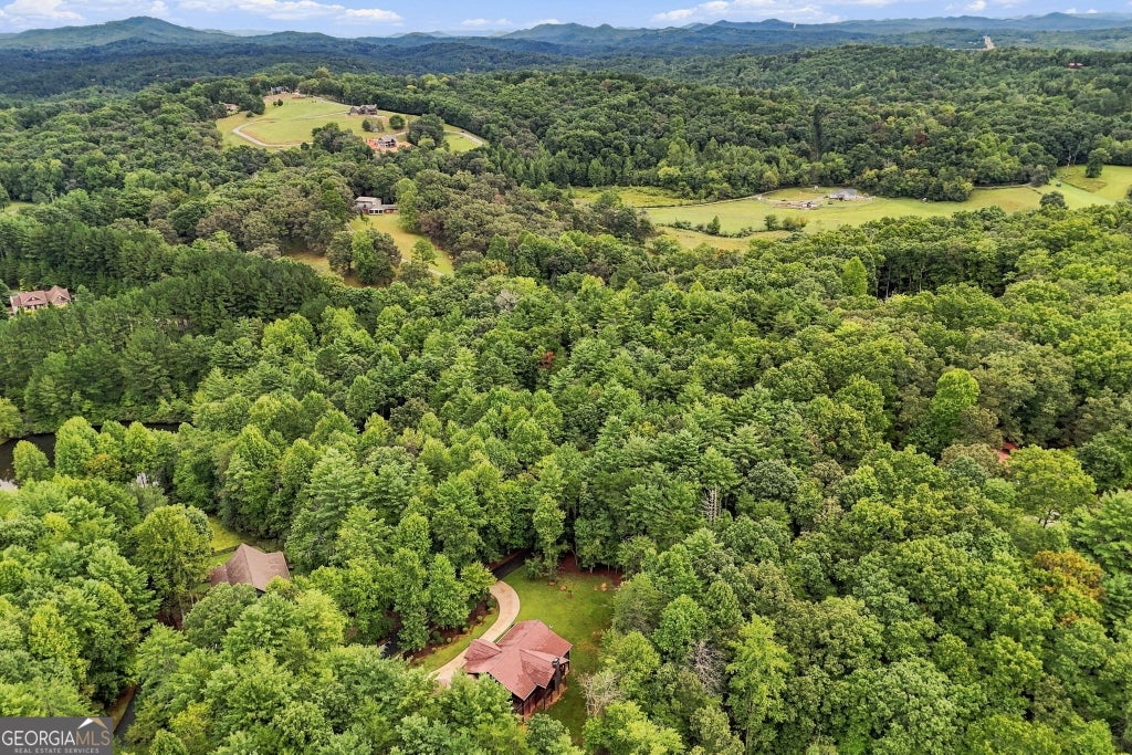 Photo of 24 Jared Road, Blue Ridge, GA 30513 (MLS # 10866806)