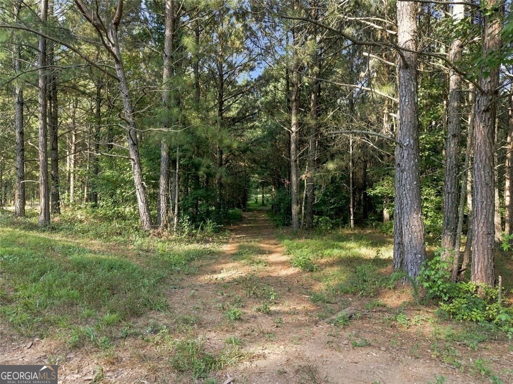 Photo of 283 Leo Taylor Lane, Ball Ground, GA 30107 (MLS # 10839935)