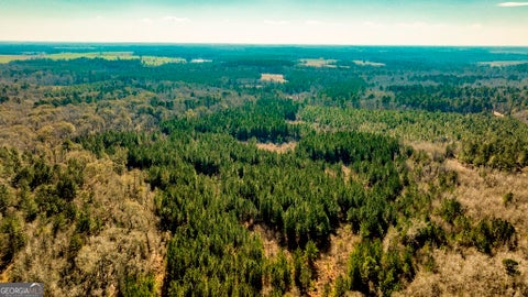 Photo of 0 Crooked Road #TRACT 2, Millen, GA 30442 (MLS # 10810824)