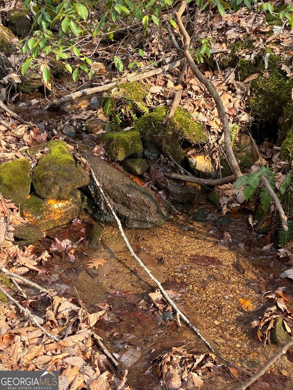 Photo of 0 Paradise Lane, Blue Ridge, GA 30513 (MLS # 10696192)