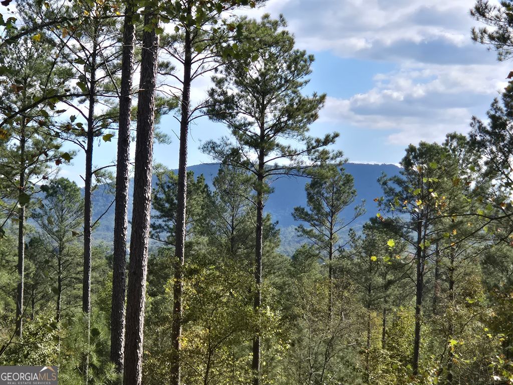 Photo of 3871 HWY 140 NE, Rydal, GA 30171 (MLS # 10632109)