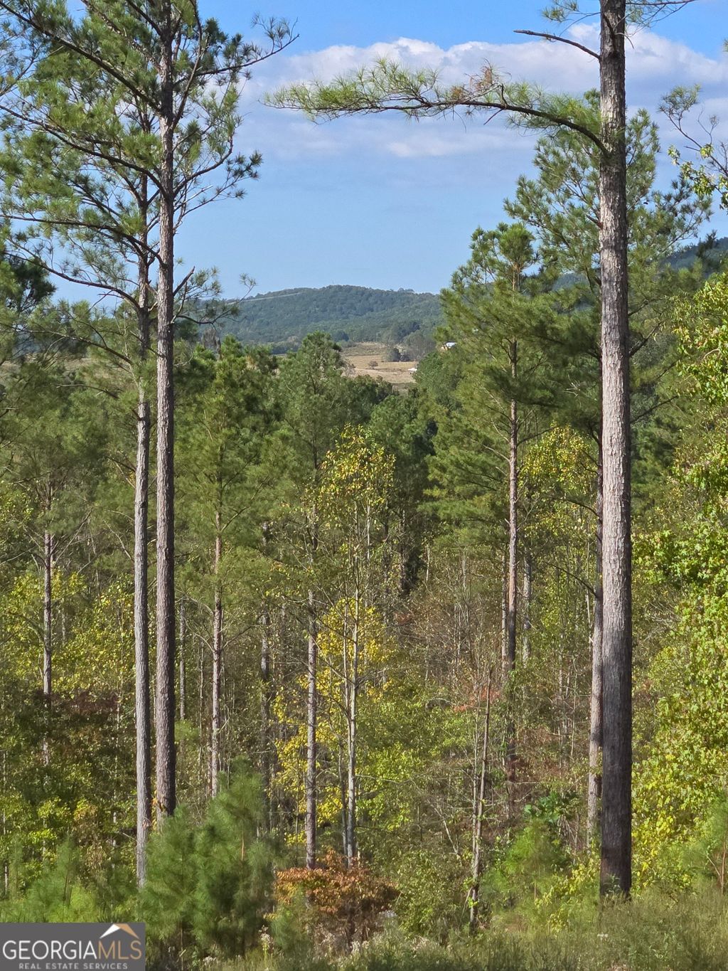 Photo of 3871 HWY 140 NE, Rydal, GA 30171 (MLS # 10632109)