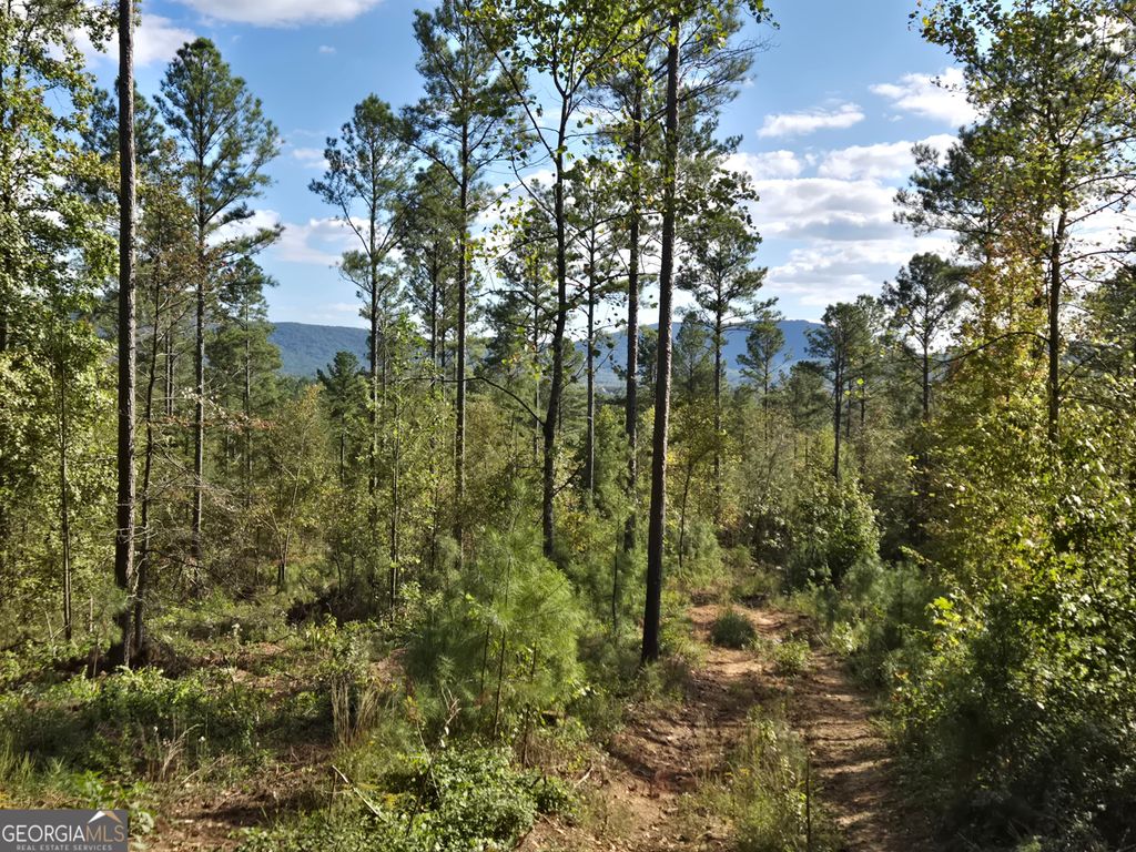 Photo of 3871 HWY 140 NE, Rydal, GA 30171 (MLS # 10632109)