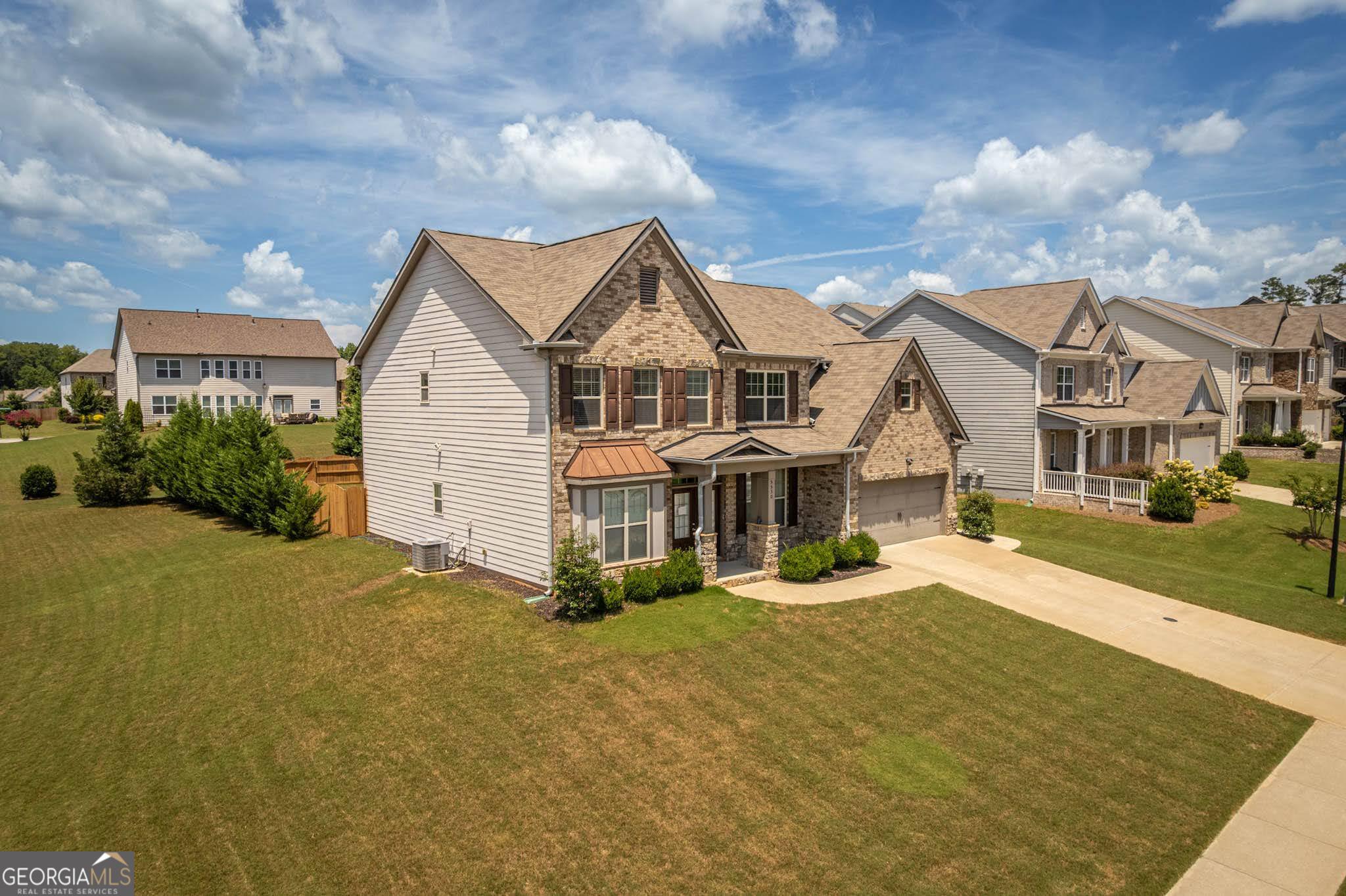 5530 Lacebark Pine CT