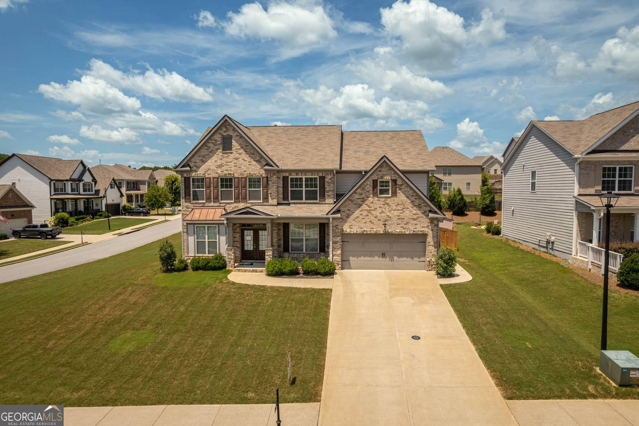 5530 Lacebark Pine CT