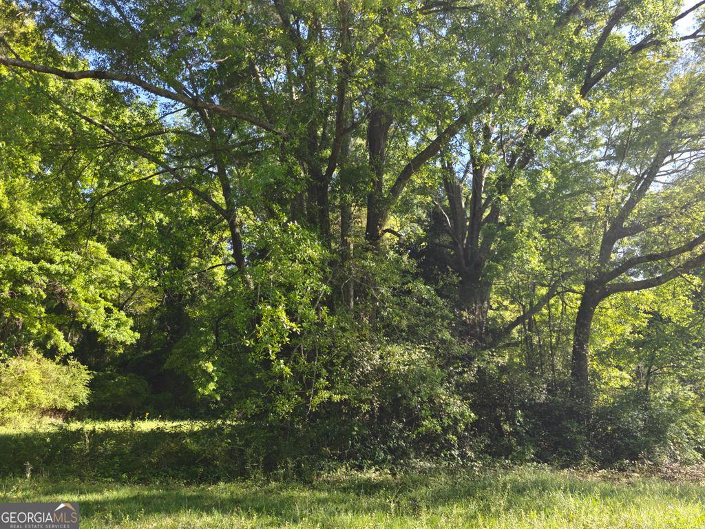 Photo of 0 Crook Street, Senoia, GA 30276 (MLS # 10729676)