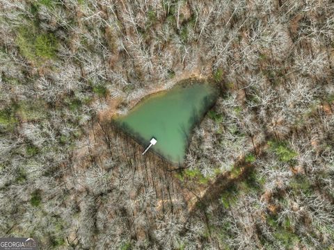 Photo of 8 McNelley Road, Morganton, GA 30560 (MLS # 10726905)