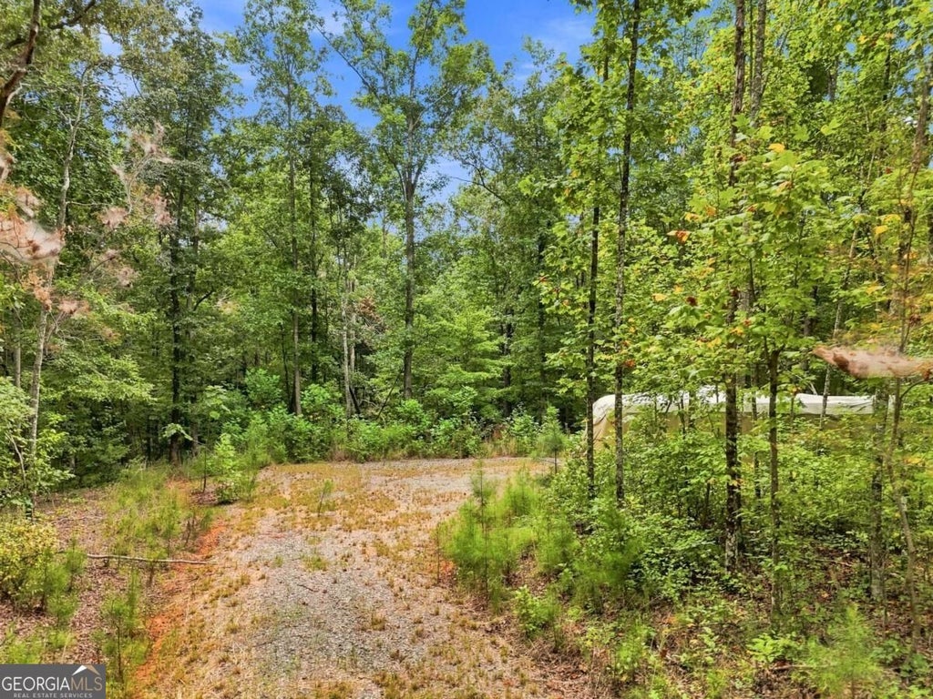 Photo of 2040 Pleasant Union Road, Canton, GA 30114 (MLS # 10841258)
