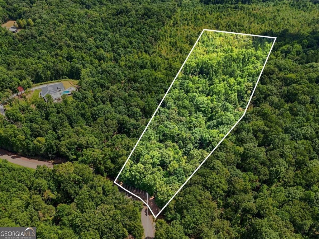 Photo of 2040 Pleasant Union Road, Canton, GA 30114 (MLS # 10841258)