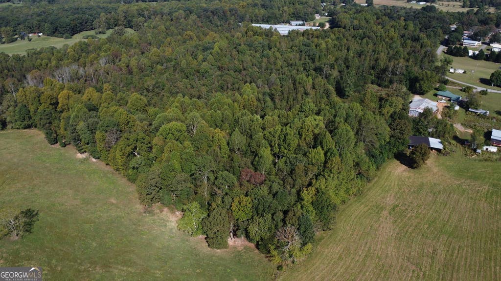 Photo of 0 Holiness Campground Road, Cleveland, GA 30528 (MLS # 10808754)