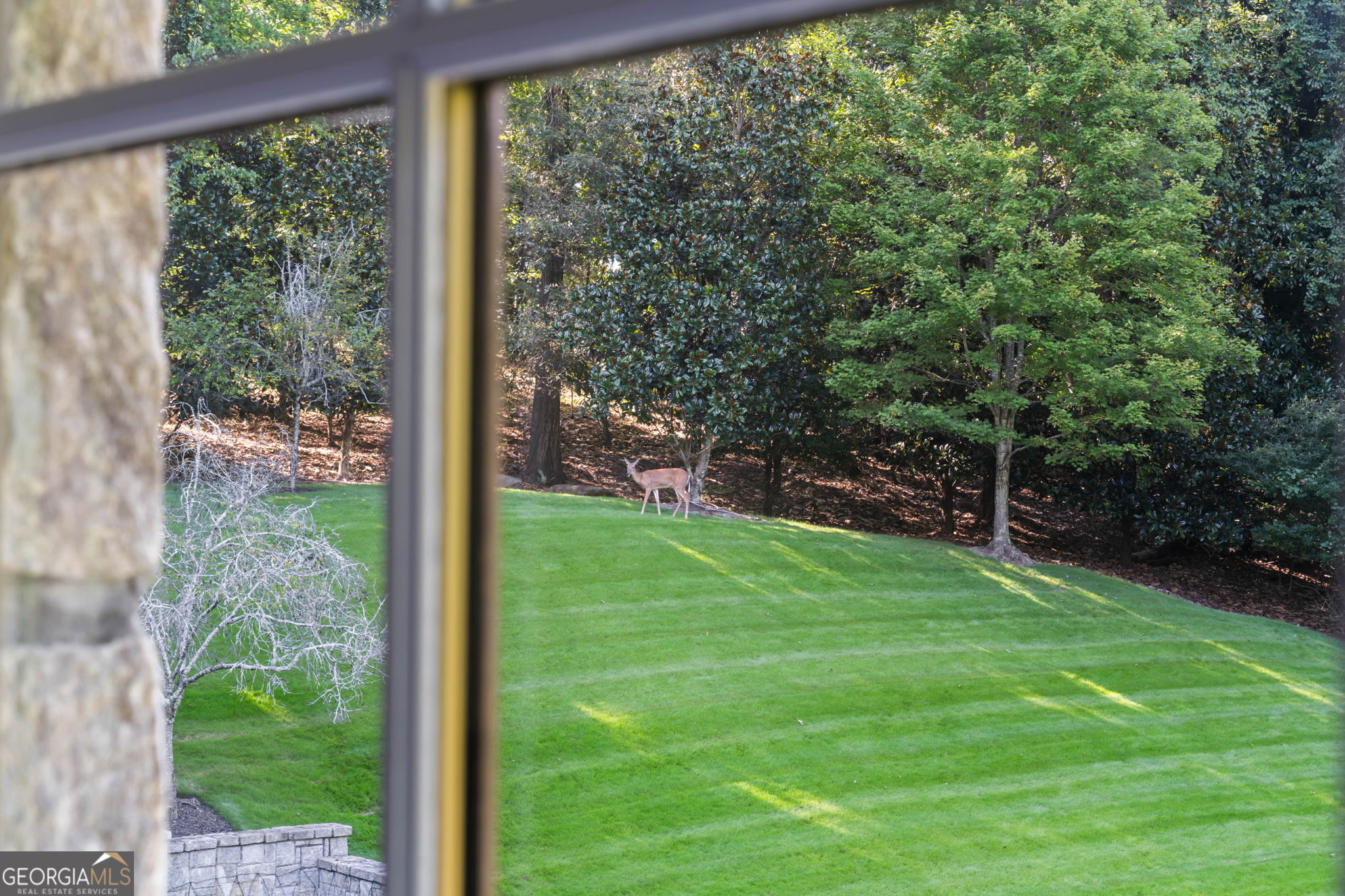 Buckhead - Residential