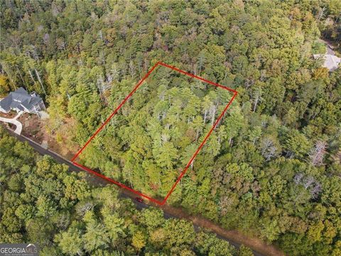 0 Trout Line CT Talking Rock GA 30175