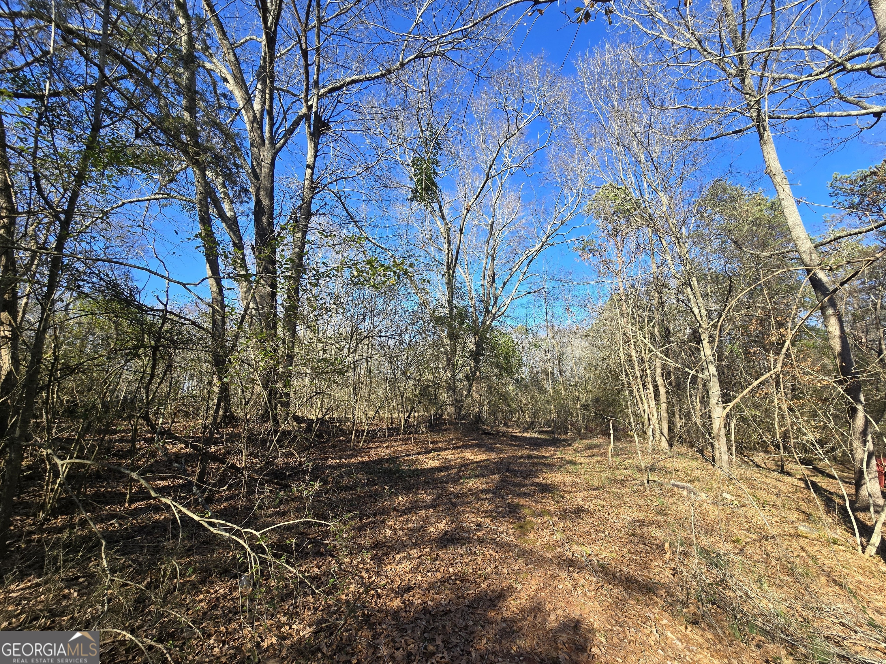 293 Kesler RD