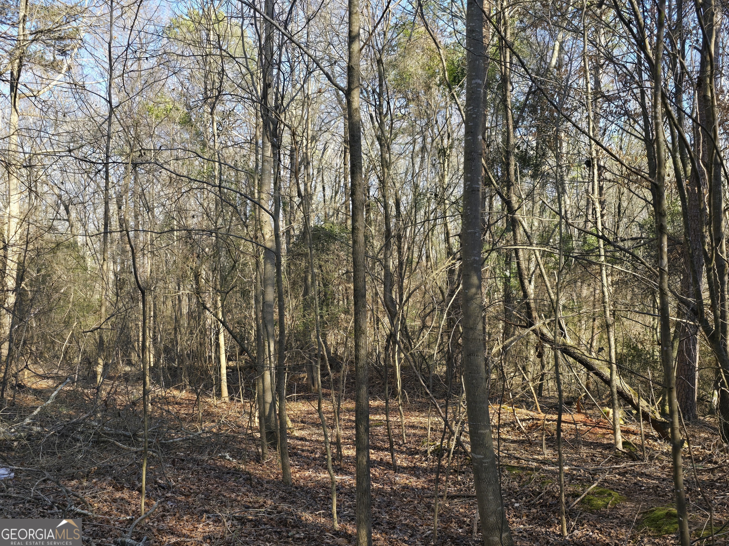 293 Kesler RD