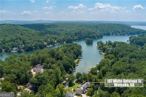 197 White Antelope Street, Waleska, GA 30183 - #: 10433993