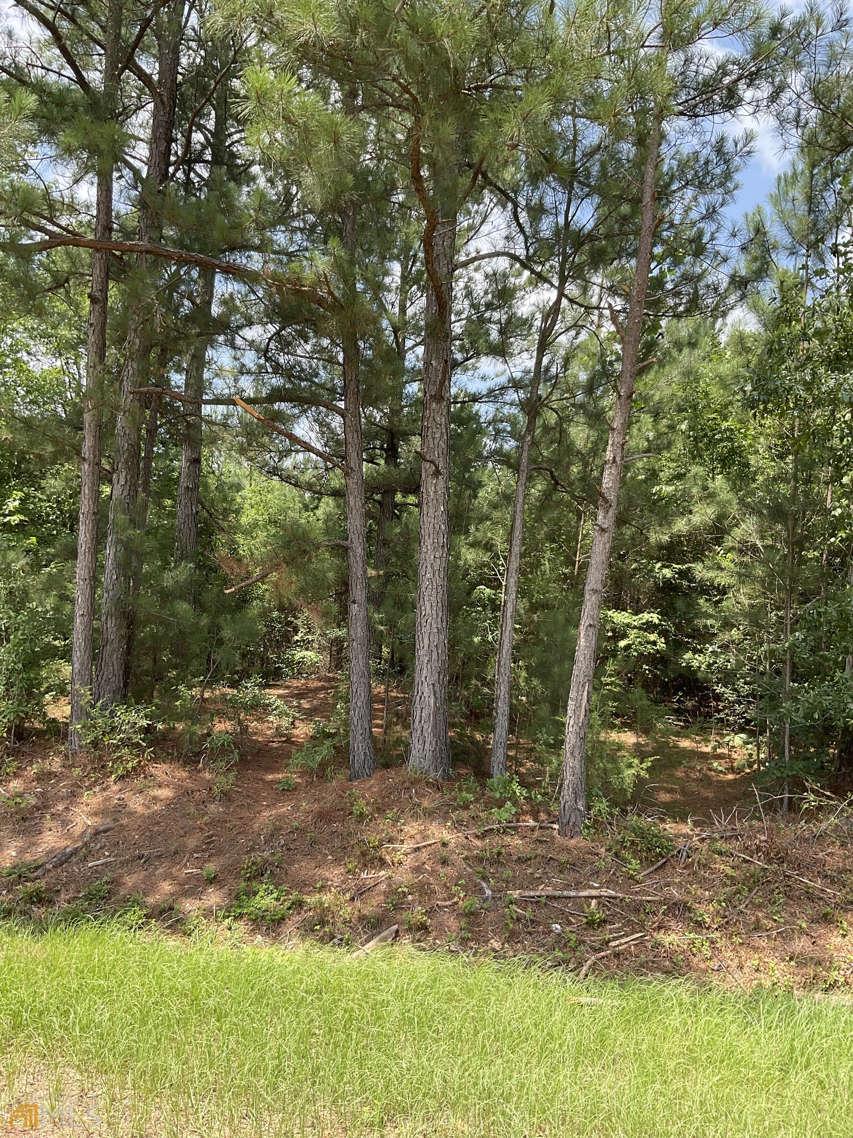 Come build your home on this beautiful, level 10.09 acres. Great diversity with pines, hardwoods and a creek. Rich with wildlife to include deer, turkey and small game. Located on a very quiet road. Don't miss out on this gem!