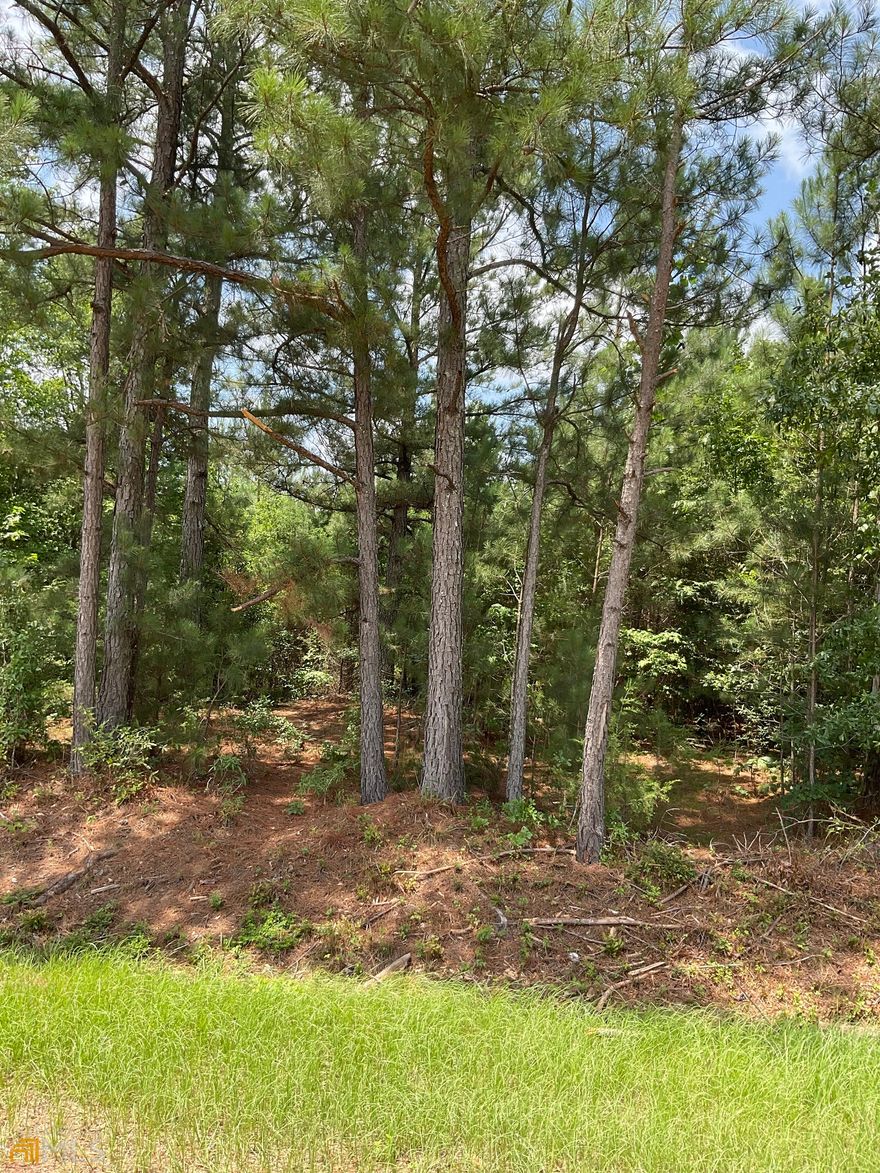 Come build your home on this beautiful, level 10.09 acres. Great diversity with pines, hardwoods and a creek. Rich with wildlife to include deer, turkey and small game. Located on a very quiet road. Don't miss out on this gem!
