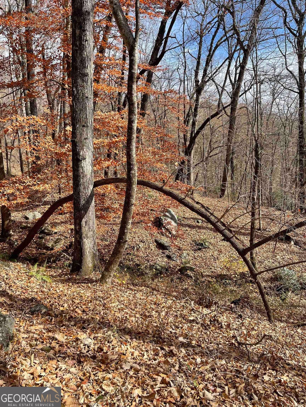 Photo of 0 Black Rock Estates #LOT 40, Clayton, GA 30525 (MLS # 10858163)