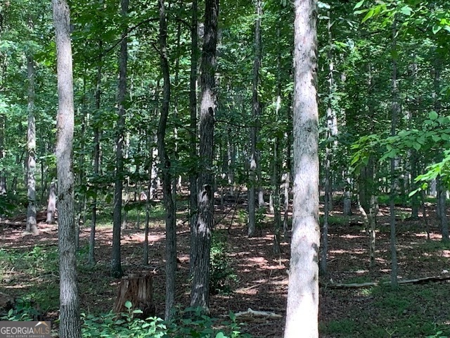 0 Holly Springs Road