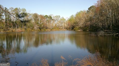 Photo of 35 Barwick Kea Road, Adrian, GA 31002 (MLS # 10700626)