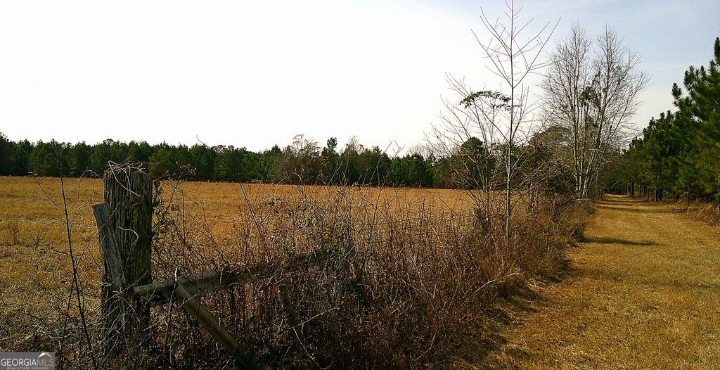 Photo of 35 Barwick Kea Road, Adrian, GA 31002 (MLS # 10700626)