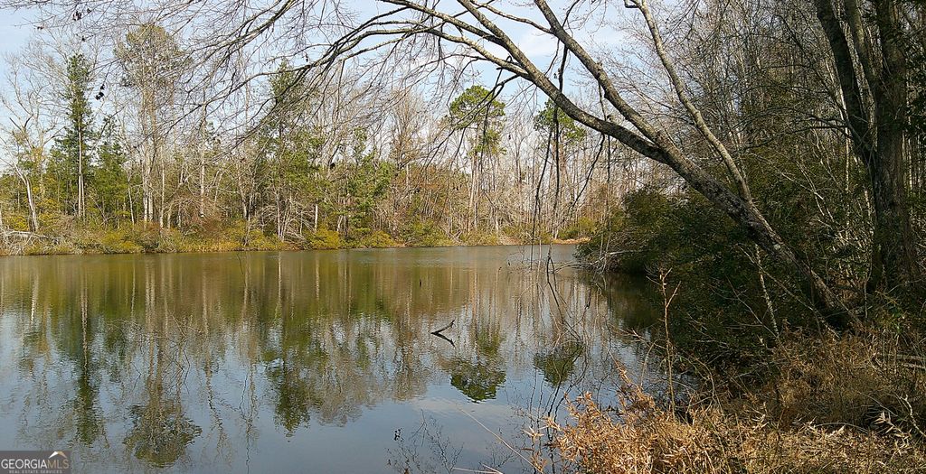 Photo of 35 Barwick Kea Road, Adrian, GA 31002 (MLS # 10700626)