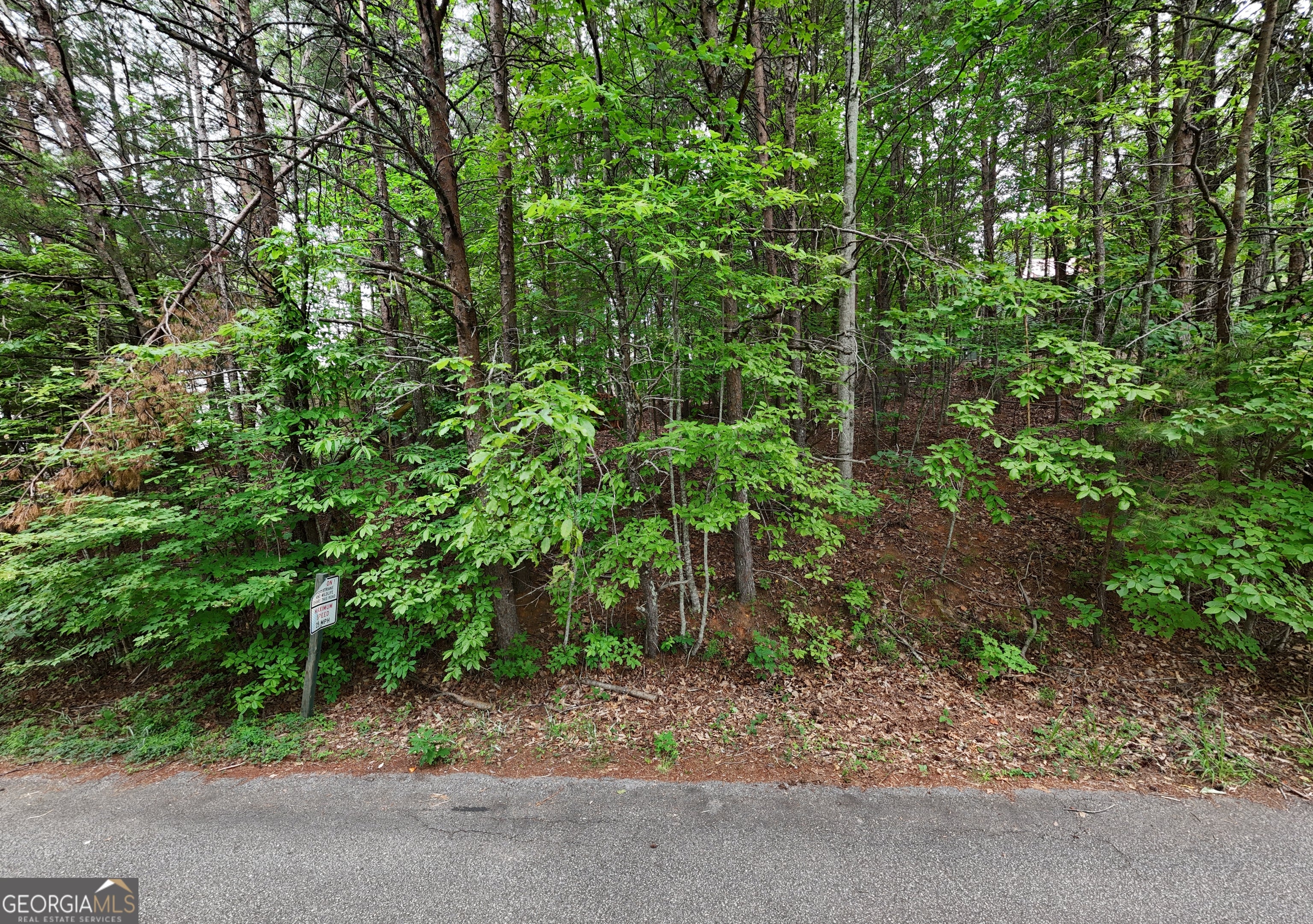 LOT B2 Starlight DR