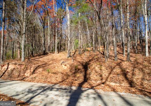 LOT 124 Mountain View RD Dawsonville GA 30534