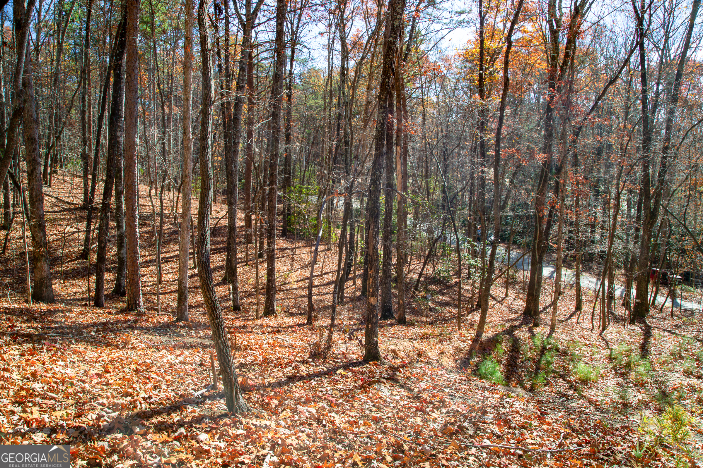 LOT 124 Mountain View RD