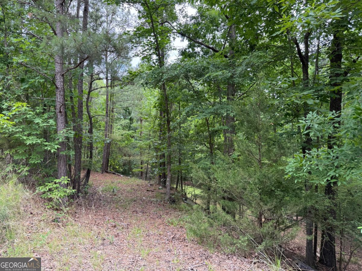 0 Bramlett Cir