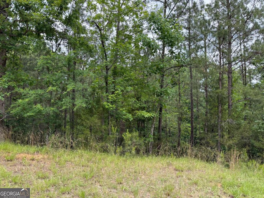 Photo of 0 Bramlett Cir, Elberton, GA 30635 (MLS # 10763826)