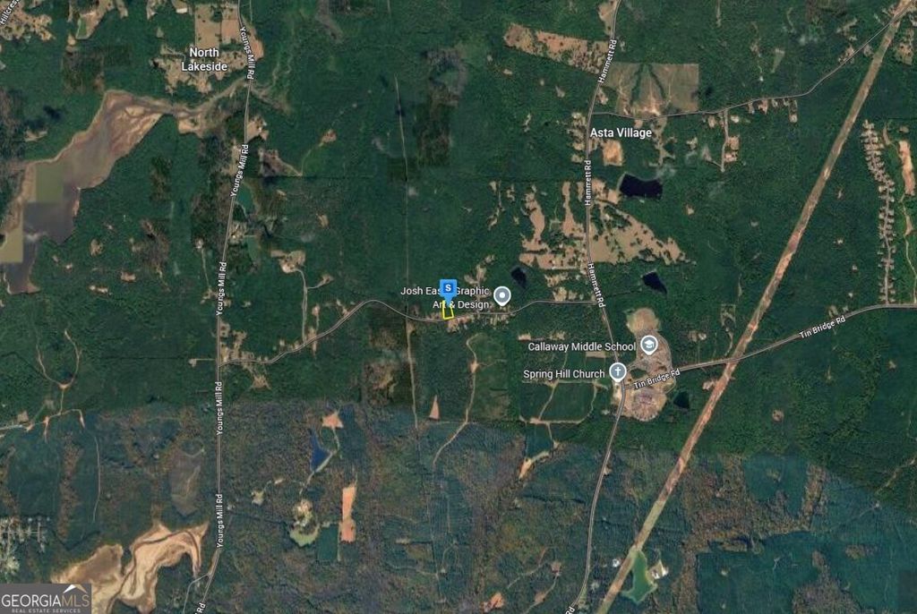 Photo of 581 Leonard Road, Lagrange, GA 30241 (MLS # 10740577)