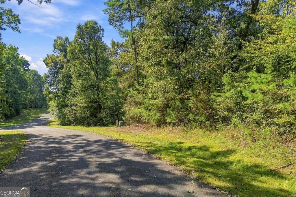 Photo of 0 Town Creek Road #LOT 20, Talking Rock, GA 30175 (MLS # 10874641)