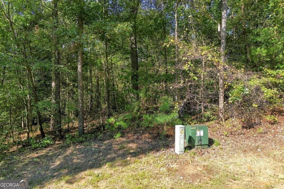 0 Town Creek Road LOT 20