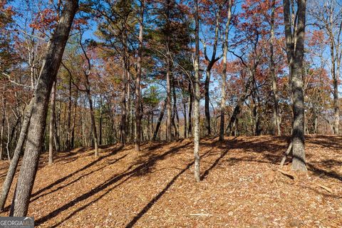LOT 40 Preserve TRL Ellijay GA 30536