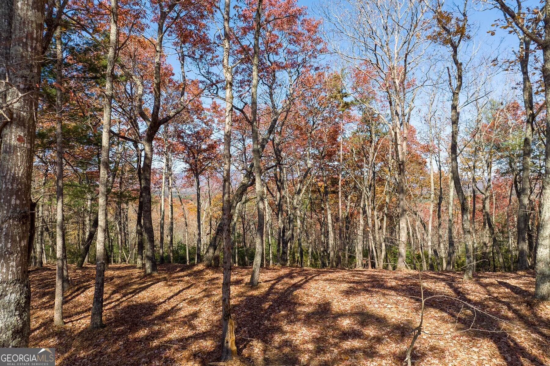 LOT 40 Preserve TRL