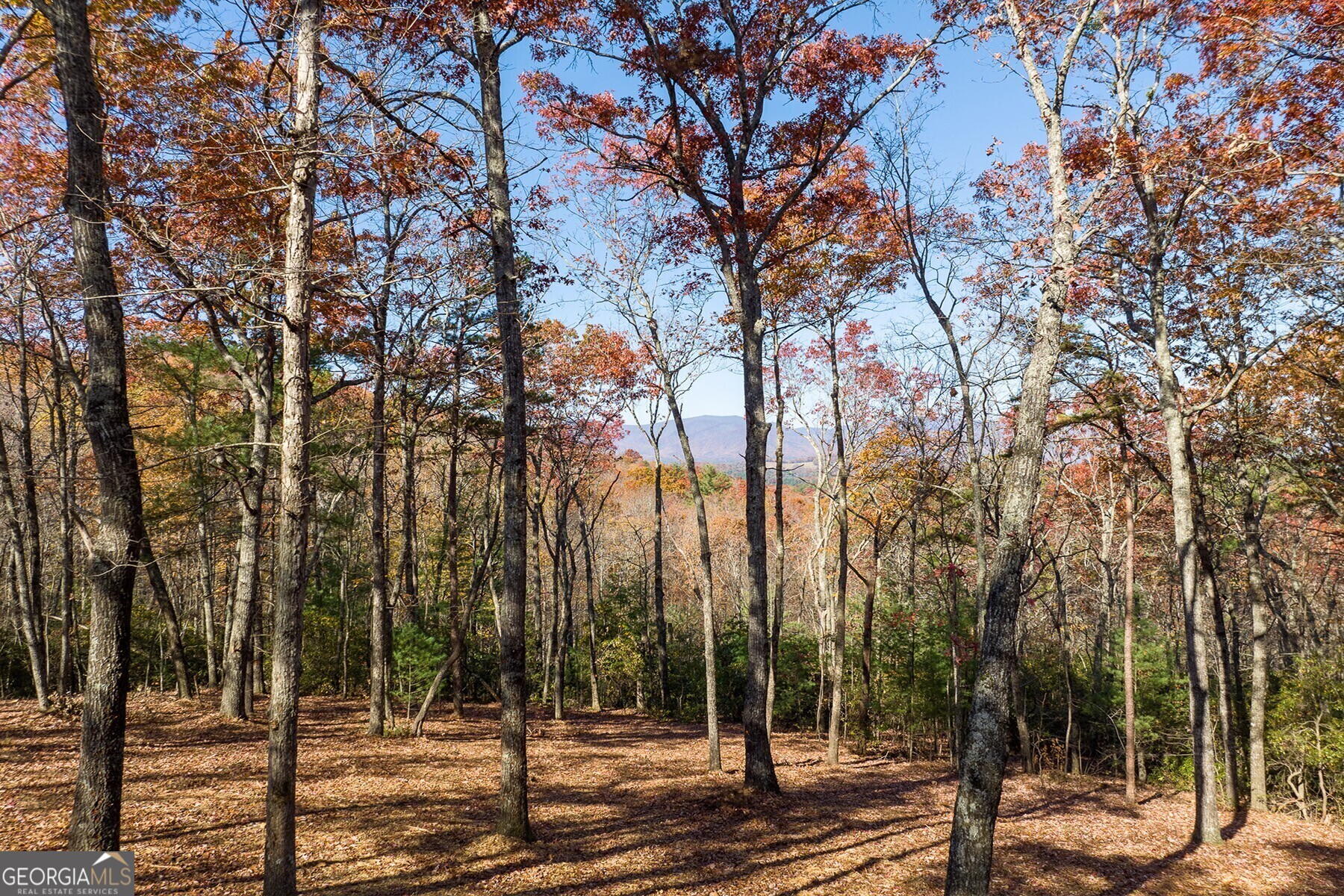 LOT 40 Preserve TRL