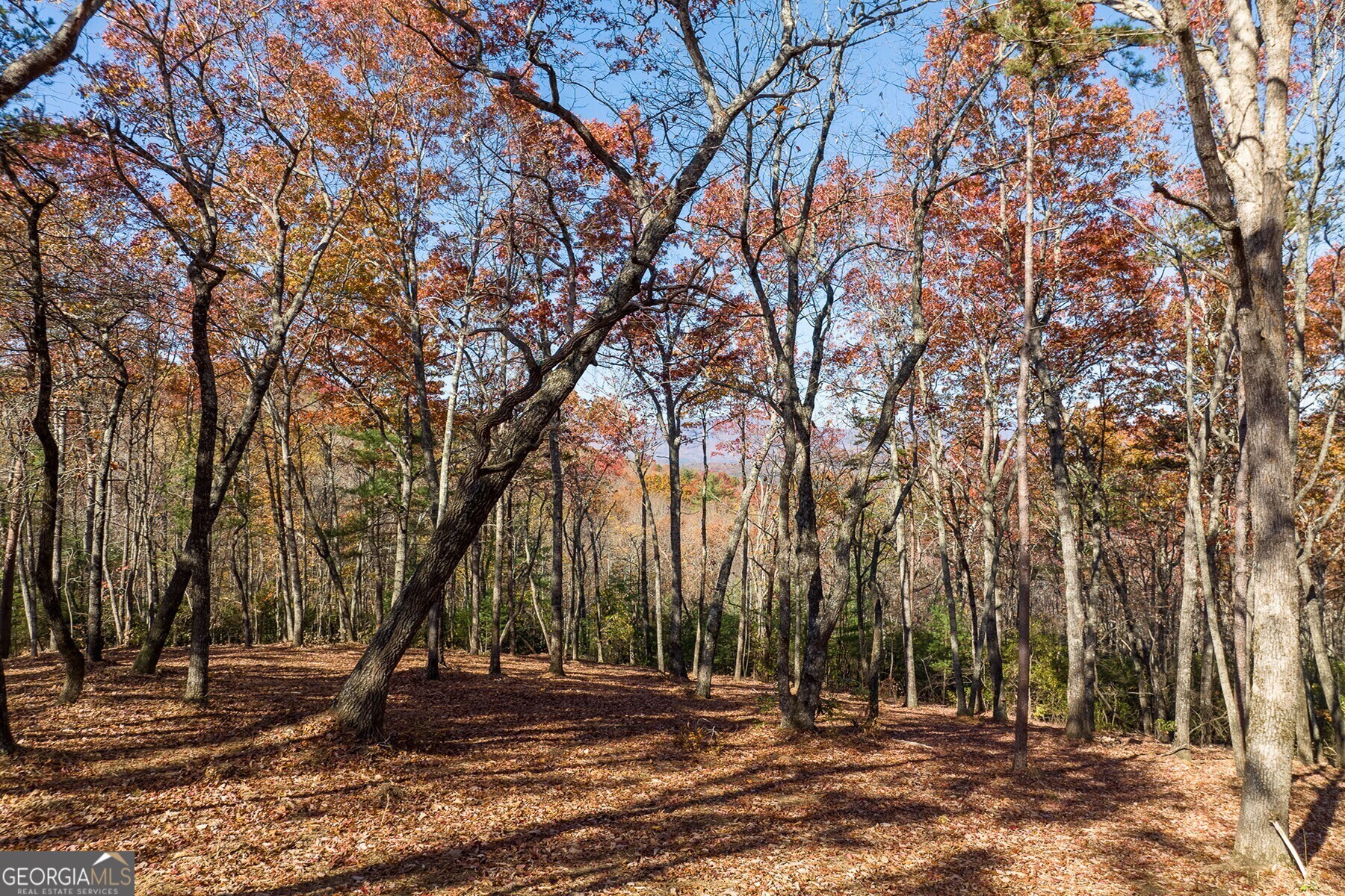 LOT 40 Preserve TRL
