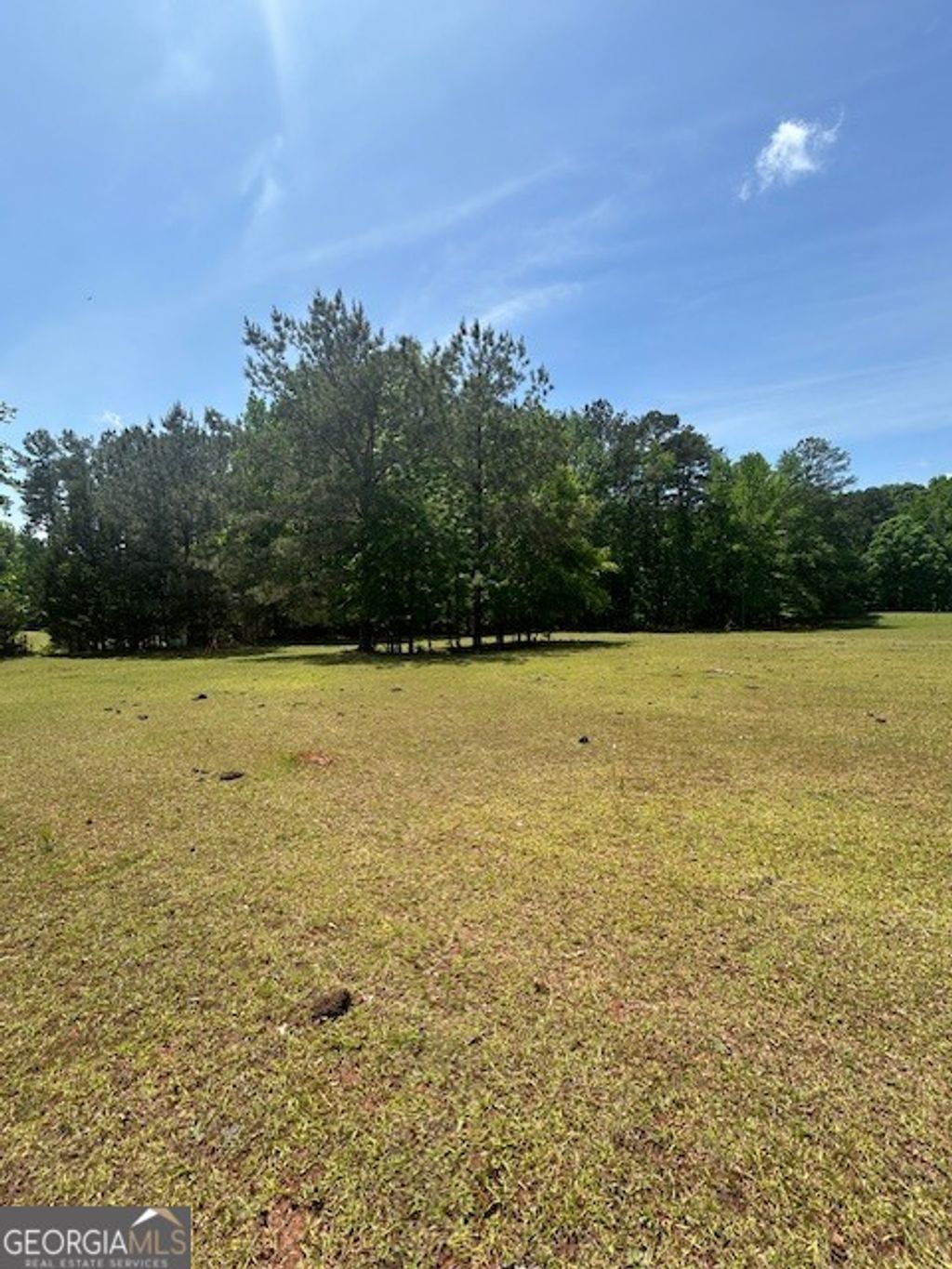 Photo of 768 S Bethany Road, McDonough, GA 30252 (MLS # 10754060)