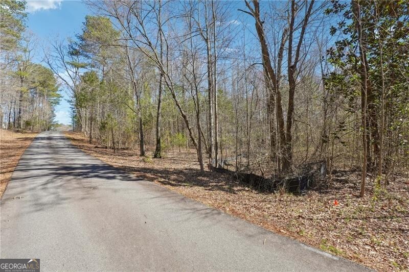 Powder Springs, Georgia 30127, United States, ,Land,Active,94540